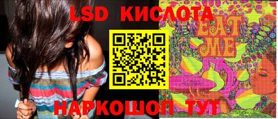 прущие крисы Камышлов