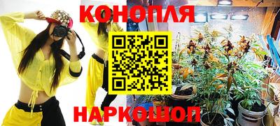 прущие крисы Камышлов