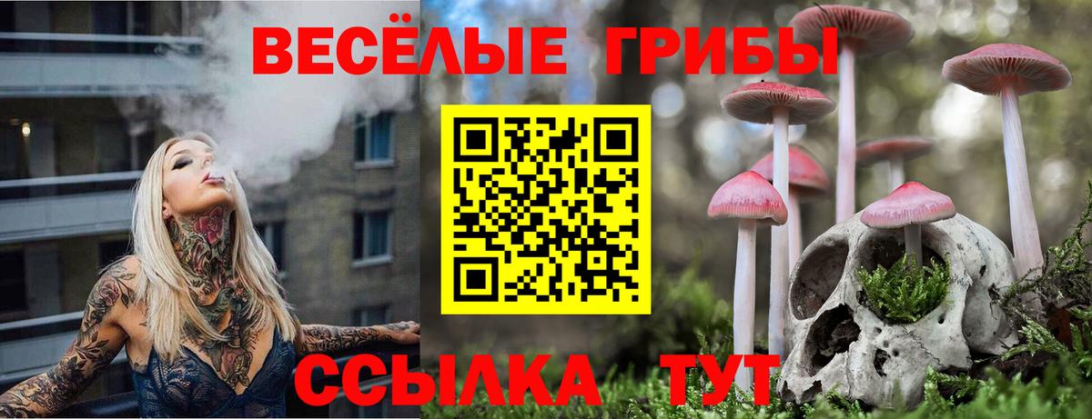 Галлюциногенные грибы Psilocybe Благовещенск