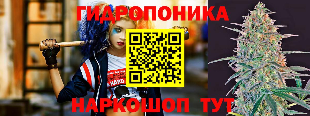 Бошки Шишки Bruce Banner  Вход с VPN  Конопля семена  Шишки марихуана OG Kush  Бошки марихуана конопля  Благовещенск 